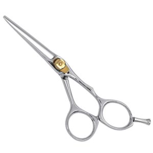 Hair Dressing Scissors