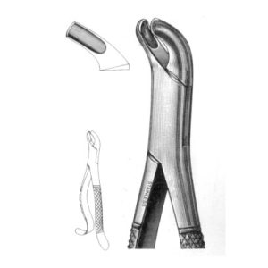 Extracting Forcep Upper Molars Universal #24