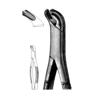 Extracting Forcep 1st & 2nd Lower Molars, Universa