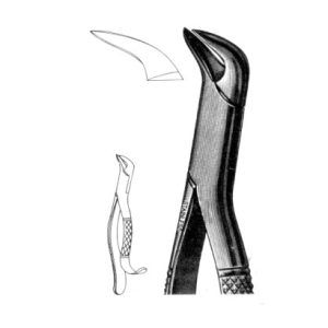 Extracting Forcep 1st & 2nd Lower Molars, Universa