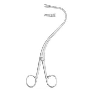 Elsasser Nephrostomy Forceps 20cm/8"